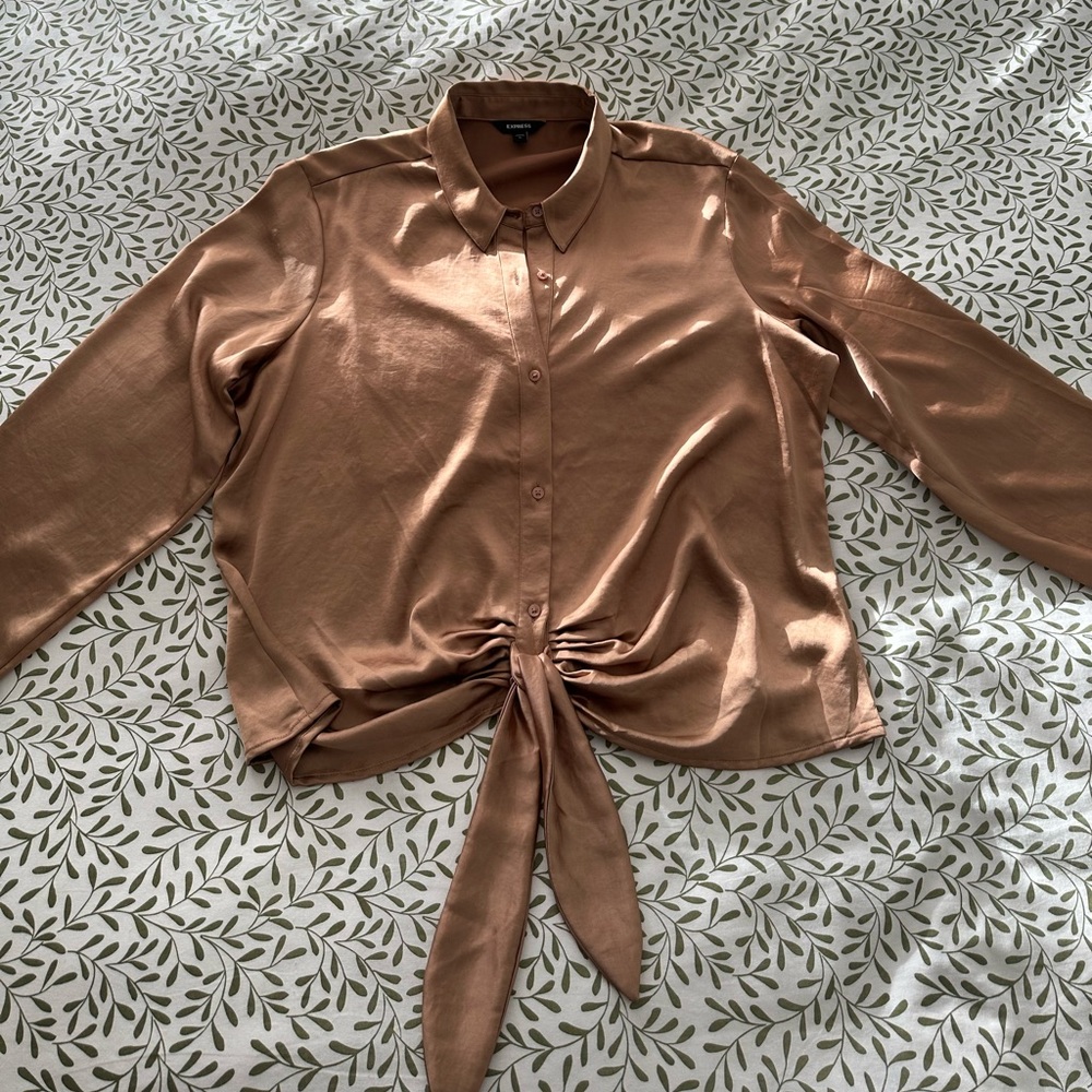 Express Silky Bronze Blouse